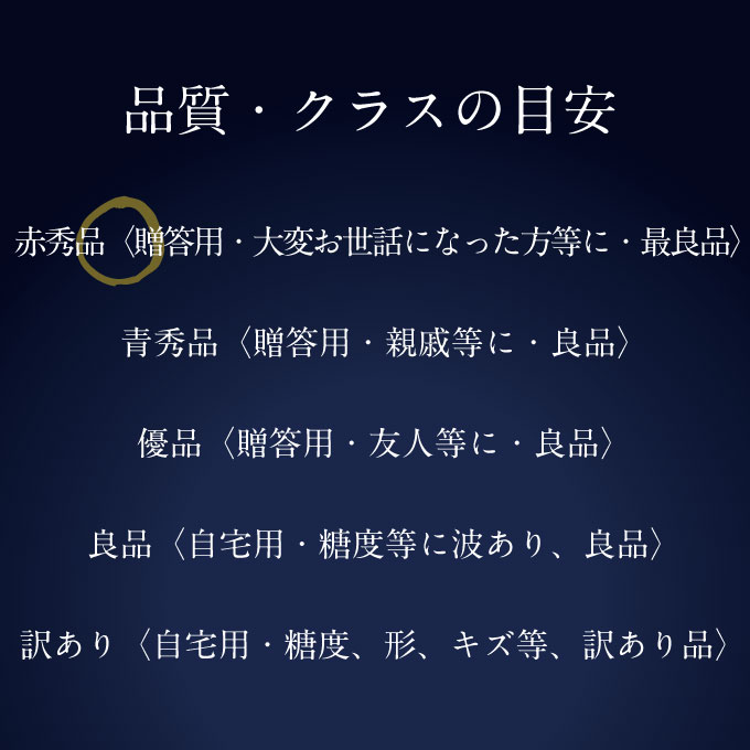 ぶどう 2026年 先行予約 9月・10月発送 高級品 シャインマスカット 晴王 1房 約700g ブドウ 葡萄 岡山県産 船穂産 フルーツ 果物 ギフト