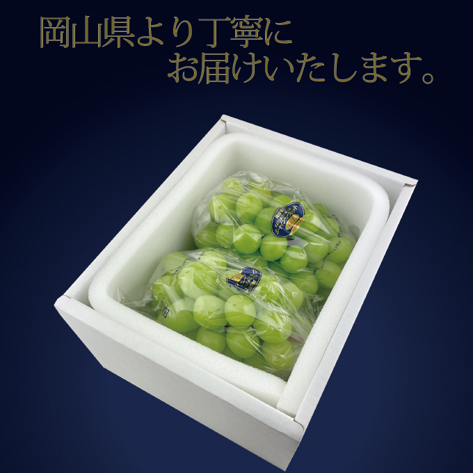 ぶどう 2026年 先行予約 9月・10月発送 高級品 シャインマスカット 晴王 2房 約1.2kg ブドウ 葡萄 岡山県産 船穂産 フルーツ 果物 ギフト