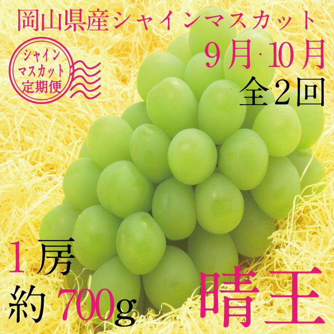 【定期便 全2回】ぶどう 2026年 先行予約 9月・10月発送 シャインマスカット 晴王 1房 約700g ブドウ 葡萄 岡山県産 国産 フルーツ 果物 ギフト