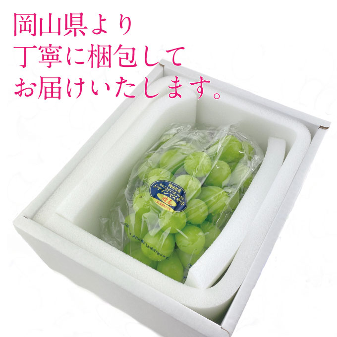 【定期便 全2回】ぶどう 2026年 先行予約 9月・10月発送 シャインマスカット 晴王 1房 約700g ブドウ 葡萄 岡山県産 国産 フルーツ 果物 ギフト