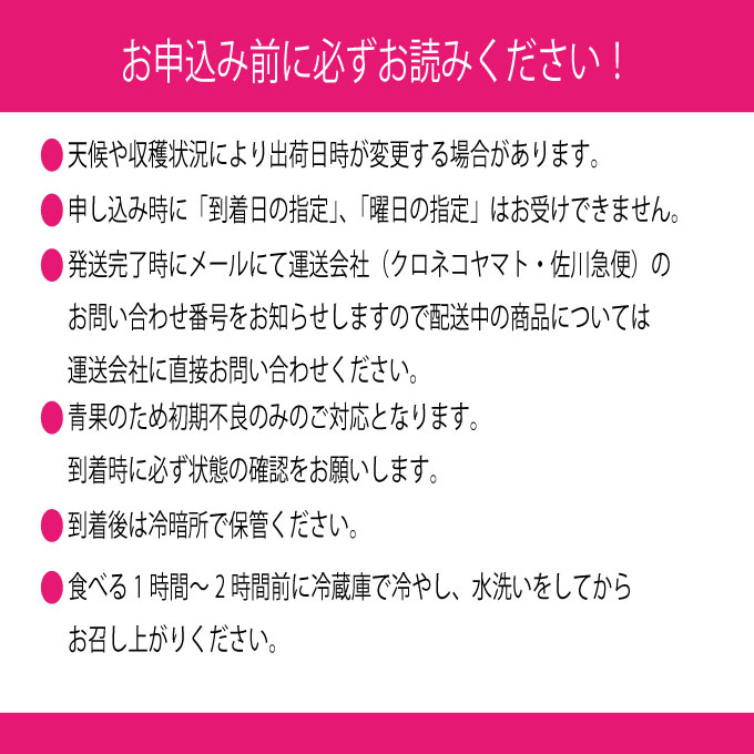 【定期便 全2回】ぶどう 2026年 先行予約 9月・10月発送 シャインマスカット 晴王 1房 約750g ブドウ 葡萄 岡山県産 国産 フルーツ 果物 ギフト