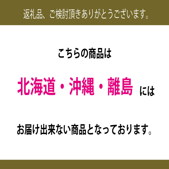 【定期便 全2回】ぶどう 2026年 先行予約 9月・10月発送 高級品 シャインマスカット 晴王 2房 合計約1.4kg ブドウ 葡萄 岡山県産 国産 フルーツ 果物 ギフト