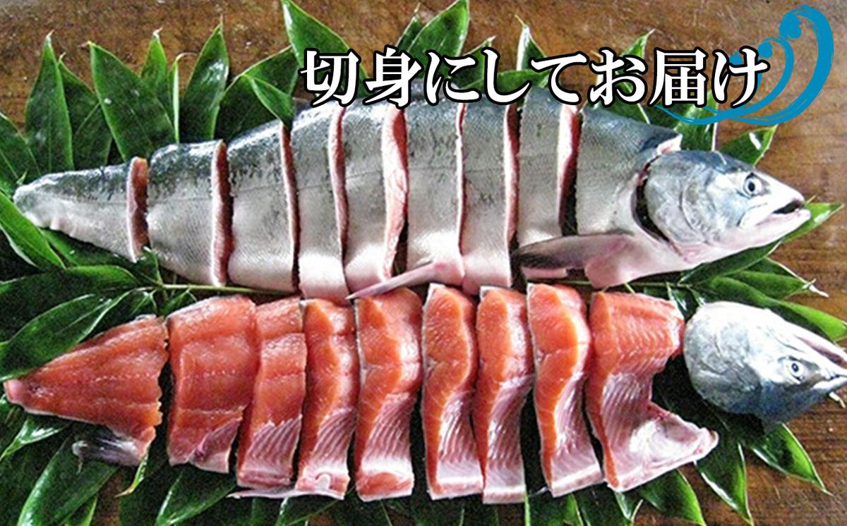 北海道産 鮭 新巻鮭 切身 約 2.2kg さけ サケ 網元特製 頭付き 北海道 新ひだか町