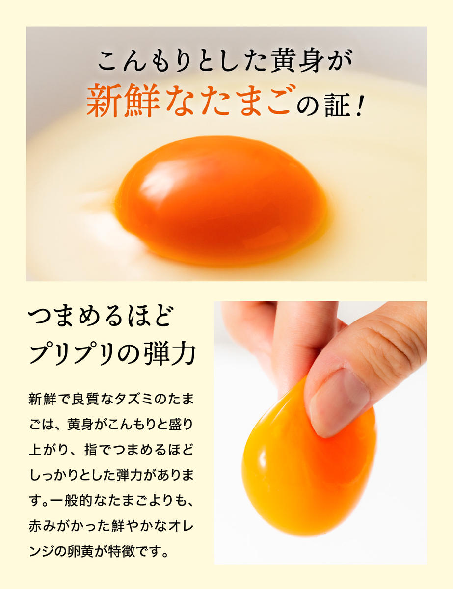 兵庫県市川町のふるさと納税 【新開発！】オリーブオイルを使ったタズミのマヨネーズ 5本　007AB01N.／タズミの卵 タズミ 卵 たまご マヨネーズ 大容量 栄養満点 調味料 お料理 安心 安全 健康 玉子 サラダ ディップ ポテトサラダ 常温保存