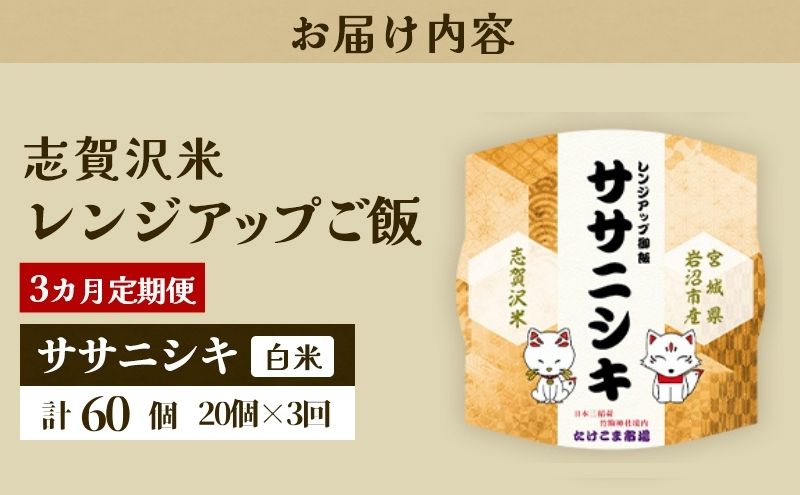 【令和7年産】3ヵ月定期便 ササニシキ 志賀沢米 レンジアップごはん 20個セット お米 米 精米 パックごはん 岩沼市 志賀産