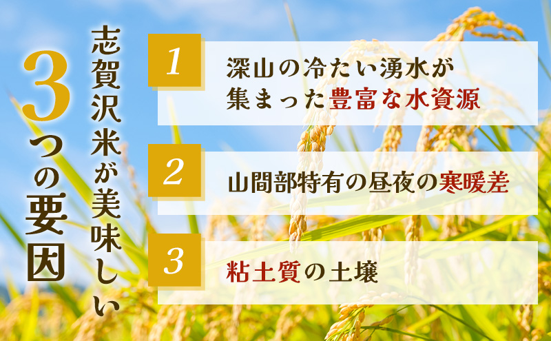 【令和7年産新米】3ヵ月定期便ササシグレ志賀沢米レンジアップごはん12個セット お米 米 精米 パックごはん 岩沼市 志賀産