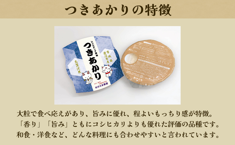 【 令和7年産 】6ヵ月 定期便 つきあかり 志賀沢米 レンジアップごはん 20個 セット お米 米 精米 パックごはん