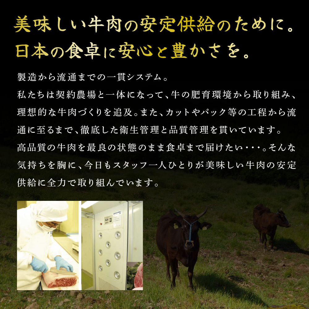 兵庫県加西市のふるさと納税 特別寄附額 改定前 神戸牛 すき焼き用肉 食べ比べセット Bセット 1kg (500g×2) 肩ロース スライス セット 詰め合わせ A4ランク A5ランク 牛肉 牛 お肉 肉 ブランド牛 和牛 神戸ビーフ 但馬牛 すき焼き肉 食べ比べ 国産 冷凍