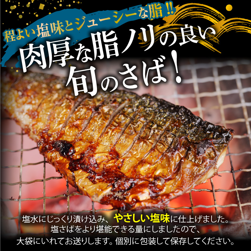 G7352_国産塩さばフィレ3kg （1.5kg×2箱）（訳あり・ご家庭用） 食べやすい 切り身 おかず 時短 タイパ 焼くだけ 簡単 ご家庭用 弁当 切身 水産加工品 さば 魚 魚介 海鮮 海の幸 海産物 魚鶴 冷凍 和歌山県 湯浅町 お取り寄せ 送料無料