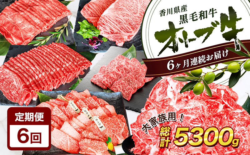 【香川県東かがわ市】香川県産黒毛和牛オリーブ牛【6ヶ月お届け】大家族用 お肉 牛肉 焼肉 バーベキュー