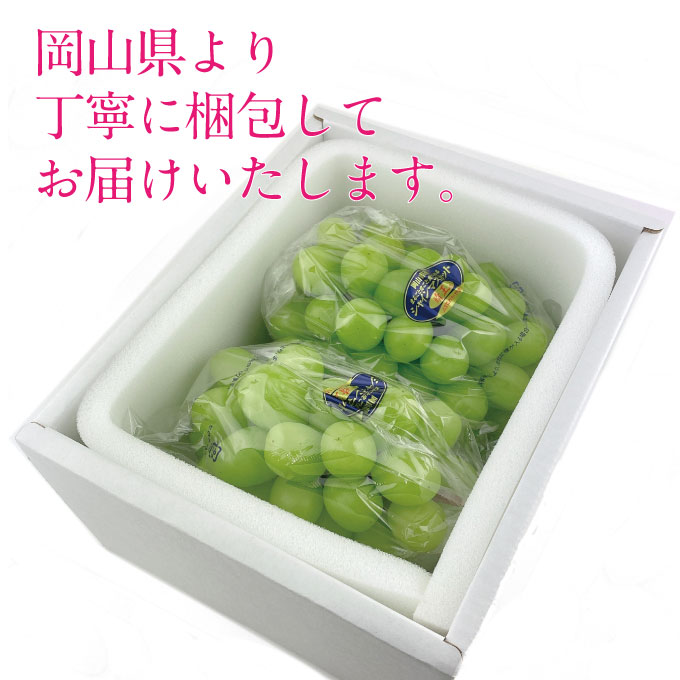 ぶどう 2026年 先行予約 9月・10月発送 シャインマスカット 晴王 2房（合計約1.3kg） ブドウ 葡萄 岡山県産 国産 フルーツ 果物 ギフト