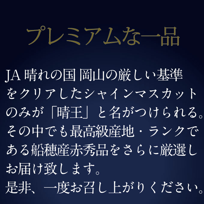 ぶどう 2026年 先行予約 9月・10月発送 高級品 シャインマスカット 晴王 1房 約650g ブドウ 葡萄 岡山県産 船穂産 フルーツ 果物 ギフト