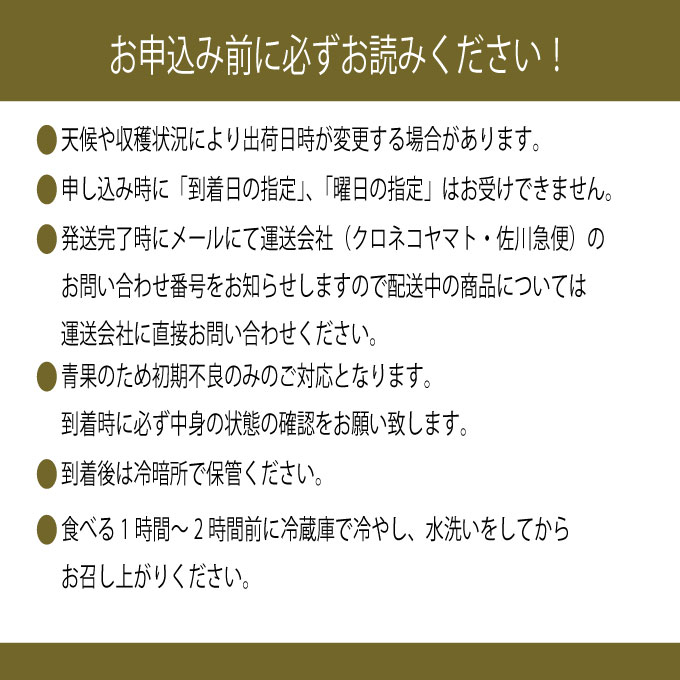 ぶどう 2026年 先行予約 9月・10月発送 高級品 シャインマスカット 晴王 1房 約650g ブドウ 葡萄 岡山県産 船穂産 フルーツ 果物 ギフト