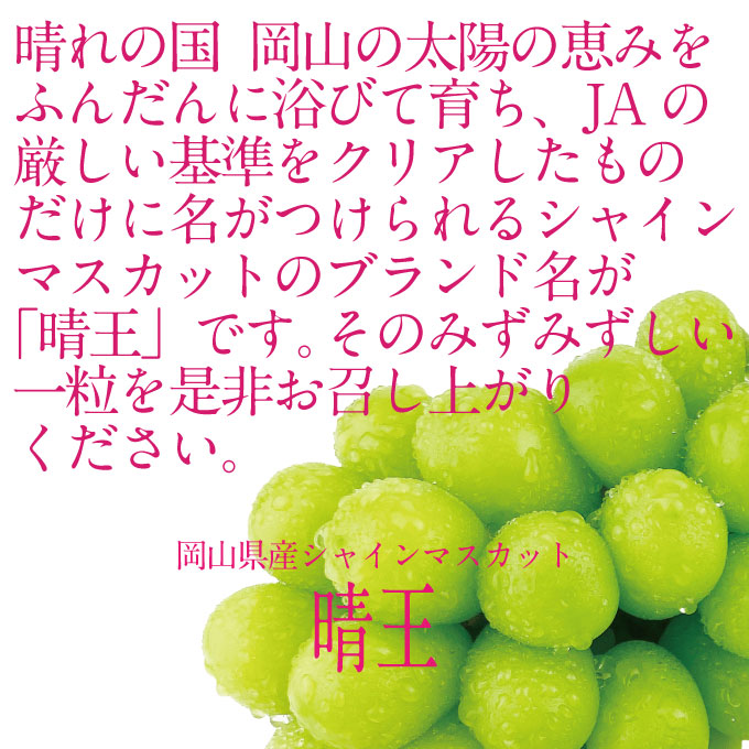 【定期便 全2回】 ぶどう 2026年 先行予約 9月・10月発送 シャインマスカット 晴王 1房 約750g ブドウ 葡萄 岡山県産 国産 フルーツ 果物 ギフト