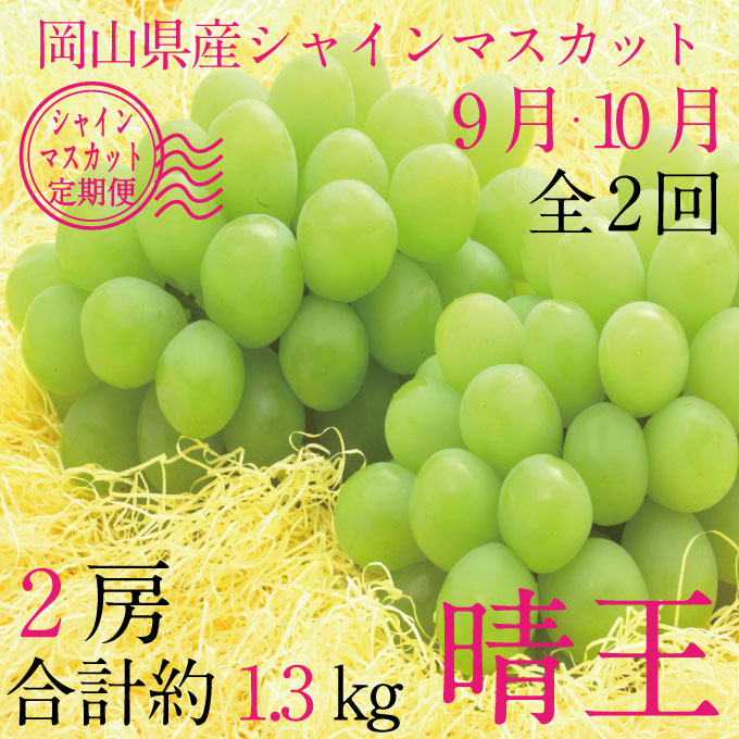 【定期便 全2回】 ぶどう 2026年 先行予約 9月・10月発送 シャインマスカット 晴王 2房 合計約1.3kg ブドウ 葡萄 岡山県産 国産 フルーツ 果物 ギフト