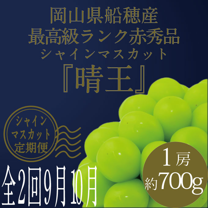 【定期便 全2回】 ぶどう 2026年 先行予約 9月・10月発送 高級品 シャインマスカット 晴王 1房 約700g ブドウ 葡萄 岡山県産 国産 フルーツ 果物 ギフト