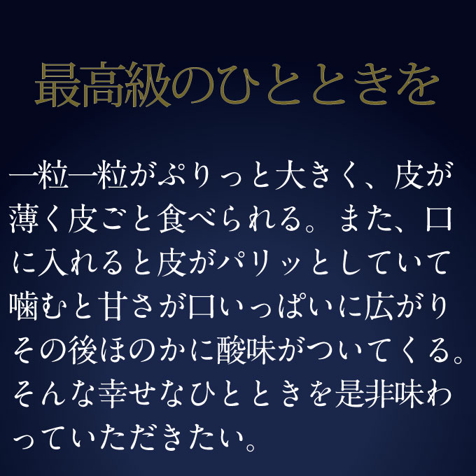 【定期便 全2回】 ぶどう 2026年 先行予約 9月・10月発送 高級品 シャインマスカット 晴王 2房 合計約1.4kg ブドウ 葡萄 岡山県産 国産 フルーツ 果物 ギフト