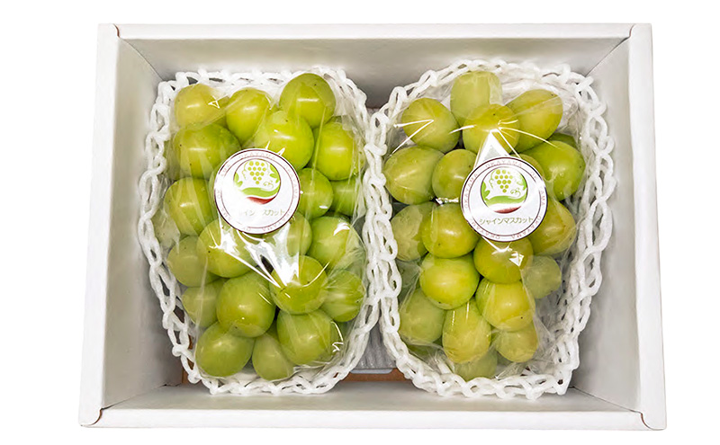 ぶどう 2026年 先行予約 シャインマスカット 2房入り 約1.2kg 岡山県 赤磐市 ブドウ 葡萄 果物 フルーツ