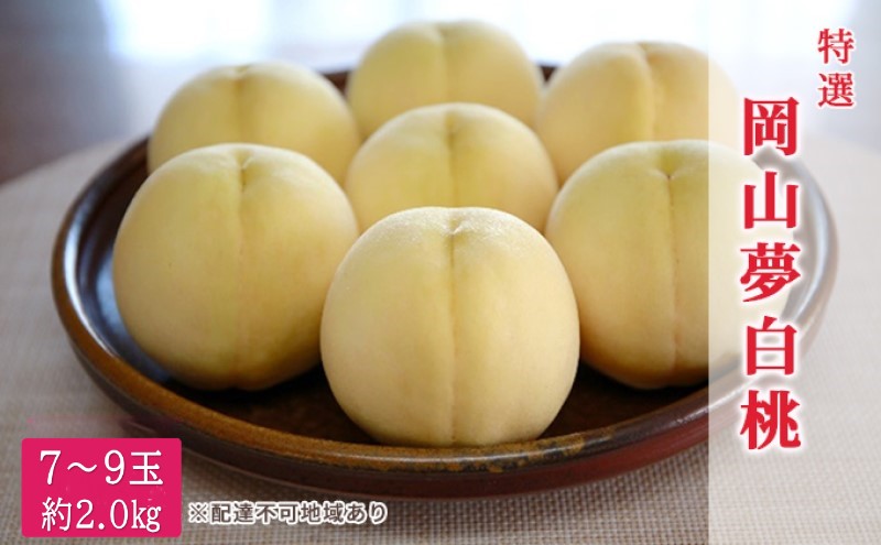 桃 2026年 先行予約 特選 おかやま夢白桃 7～9玉 約2kg もも モモ 岡山県産 国産 フルーツ 果物 ギフト