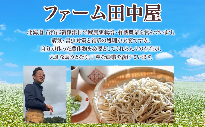 北海道新篠津村のふるさと納税 ファーム田中屋の生蕎麦150g×2 つゆ80g×2 そば 蕎麦 麺類 蕎麦粉 蕎麦湯 冷凍 のど越し 打ち粉 温そば 冷そば ざるそば 新篠津村 有機農業 石臼 つゆ付き 贈答 ギフト 贈り物  引っ越し 年越し蕎麦 北海道 新篠津