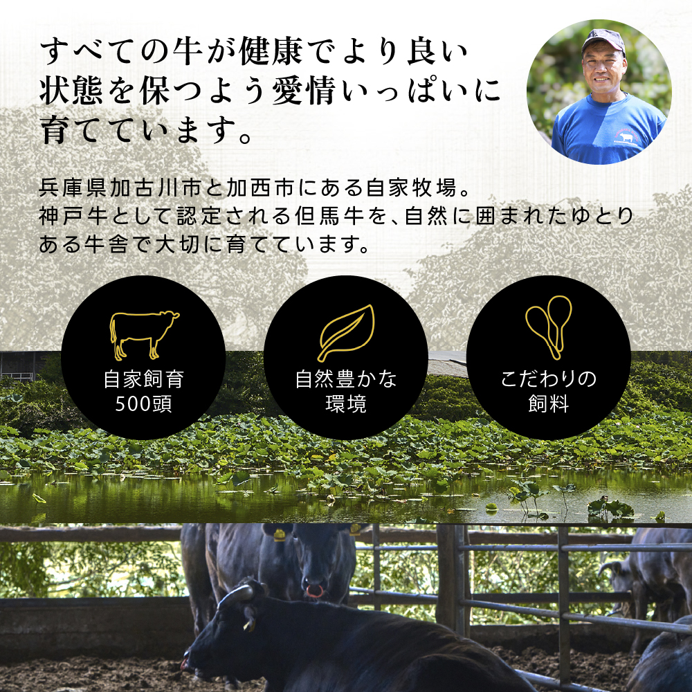 兵庫県加西市のふるさと納税 神戸牛 ロースステーキ 1枚 セット 200g 詰め合わせ A4ランク A5ランク 牛肉 牛 お肉 肉 ブランド牛 和牛 神戸ビーフ 但馬牛 ロース ステーキ ステーキ肉 国産 冷凍