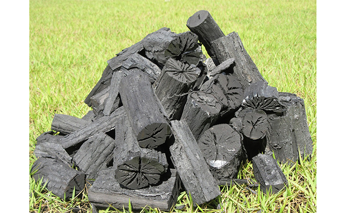 【北海道限定便】森のちから【五名の炭（ウバメガシ）】6kg×２箱(配送不可:北海道以外・離島地域) 雑貨 日用品 