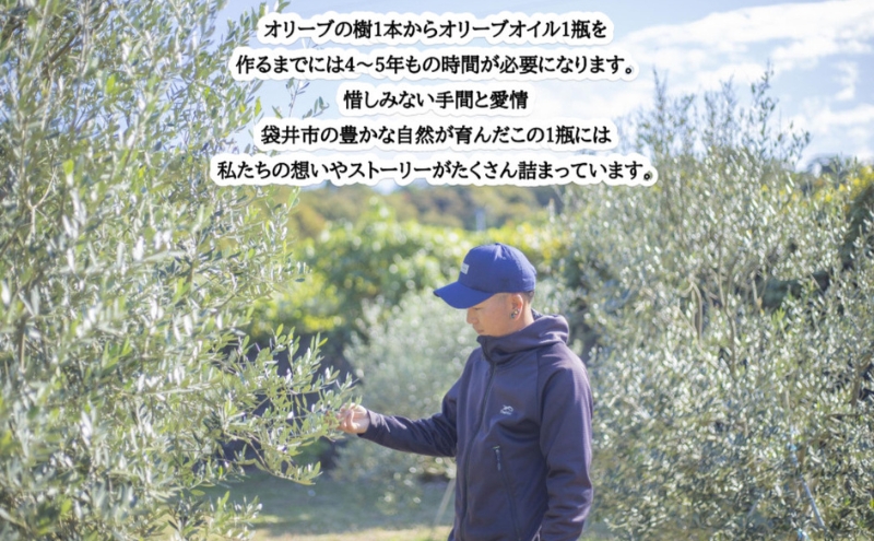 静岡県袋井市産 エキストラバージンオリーブオイル 100ml×3本 香り豊かでやさしい味わい 調味料 食用油 国産 ※配送不可：離島