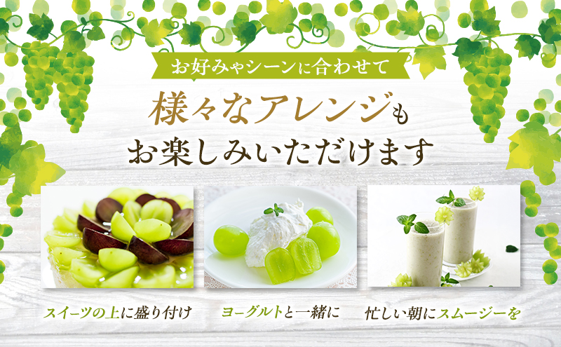 ぶどう 2026年 先行予約 ご家庭用 シャイン マスカット 2房 1房600g～700g 10月発送分 ブドウ 葡萄 フルーツ 果物 岡山 赤磐市産 農マル園芸 あかいわ農園 果物類 歯ごたえ ジューシー 上品な甘み 