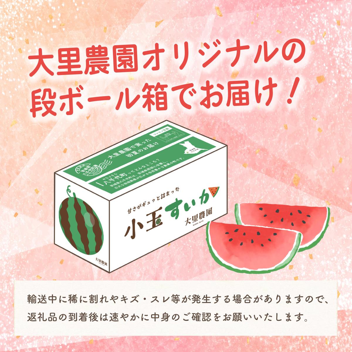 茨城県八千代町のふるさと納税 【 先行予約 2026年7月中旬以降発送 】八千代町産 黒皮 小玉スイカ 姫甘泉ブラック ひとりじめBonBonリッチ 1箱（2玉入） 黒皮 すいか 西瓜 [SF004ya]