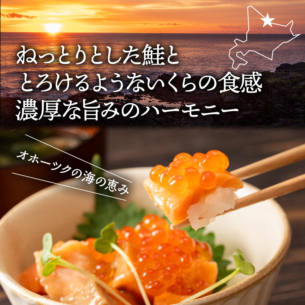 13-360 【年内配送12月15日入金まで】北海道産鮭親子漬けプレミアム2個セット～いくら増量しました～ within2025