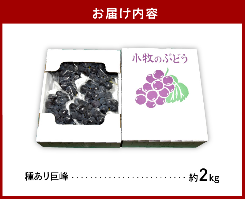愛知県小牧市のふるさと納税 こだわりの種あり巨峰　約2kg 2026年先行予約（2026年発送分）ぶどう ［034K01］