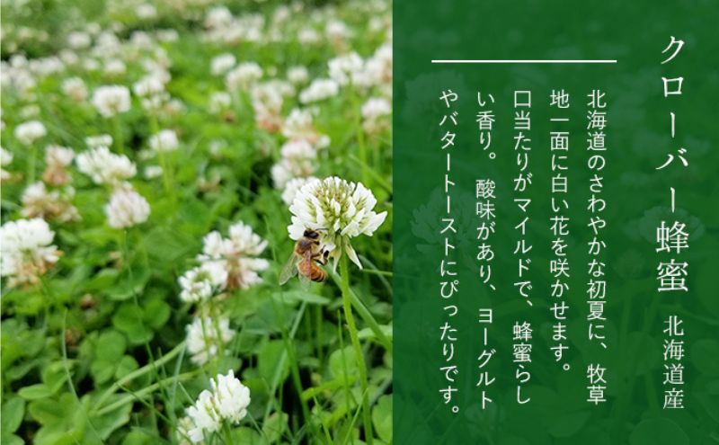 【国産純粋蜂蜜】北海道産 はちみつ5種テイスティングセット100g(お試し20gチューブ×5本)本)アカシア・クローバー・シナ・オオハンゴウソウ・シコロ［ナルセ養蜂場］【 はちみつ ハチミツ 蜂蜜 ハニー 健康 美容 料理 純粋 ギフト 北海道 十勝 幕別 】