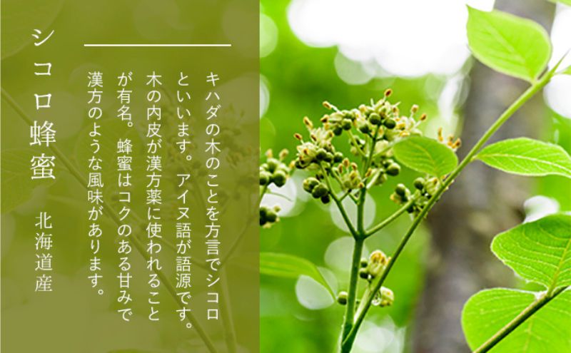 【国産純粋蜂蜜】北海道産 はちみつ5種テイスティングセット100g(お試し20gチューブ×5本)本)アカシア・クローバー・シナ・オオハンゴウソウ・シコロ［ナルセ養蜂場］【 はちみつ ハチミツ 蜂蜜 ハニー 健康 美容 料理 純粋 ギフト 北海道 十勝 幕別 】