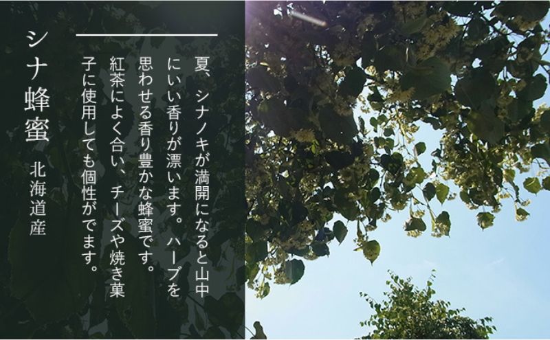 【国産純粋蜂蜜】北海道産 はちみつ5種テイスティングセット100g(お試し20gチューブ×5本)本)アカシア・クローバー・シナ・オオハンゴウソウ・シコロ［ナルセ養蜂場］【 はちみつ ハチミツ 蜂蜜 ハニー 健康 美容 料理 純粋 ギフト 北海道 十勝 幕別 】