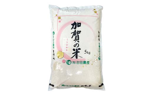 令和6年度 新米 こしひかり 精米 石川県加賀市産 5kg お米 米 国産米 ギフト 贈り物 グルメ 食品 国産 復興 震災 コロナ 能登半島地震復興支援 北陸新幹線 F6P-2320
