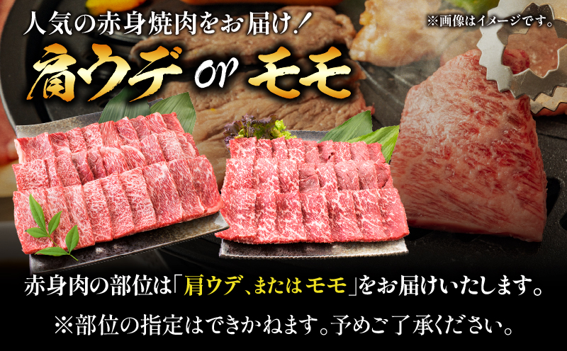 宮崎県日南市のふるさと納税 【8月末までにお届け】【畜産農家応援】リピーター続出!!数量限定 厳選 宮崎牛 赤身 焼肉 計1kg 粗挽きウインナー 牛肉 国産 BBQ すき焼き 人気 黒毛和牛 肩ウデ モモ しゃぶしゃぶ A4 A5 等級 ギフト 贈答 小分け 食品 選べる ステーキ スライス ミヤチク 宮崎県 日南市 送料無料_CB104-25-ZO-08