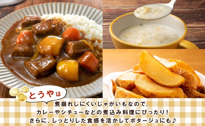 雪蔵じゃがいも 20kg とうやＬサイズ 2026年3月上旬～3月末までお届け ジャガイモ 芋 甘い なめらか しっとり ポタージュ カレー 調理 料理 煮込み料理 雪蔵 旬 季節 農作物 野菜 根菜 北海道 洞爺湖町 