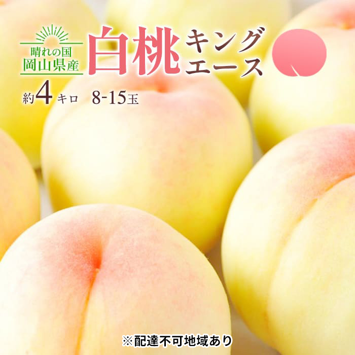 桃 2026年 先行予約 岡山 白桃 キング・エース 約4kg 8～15玉入り もも モモ 岡山県産 国産 フルーツ 果物 ギフト 橋田商店
