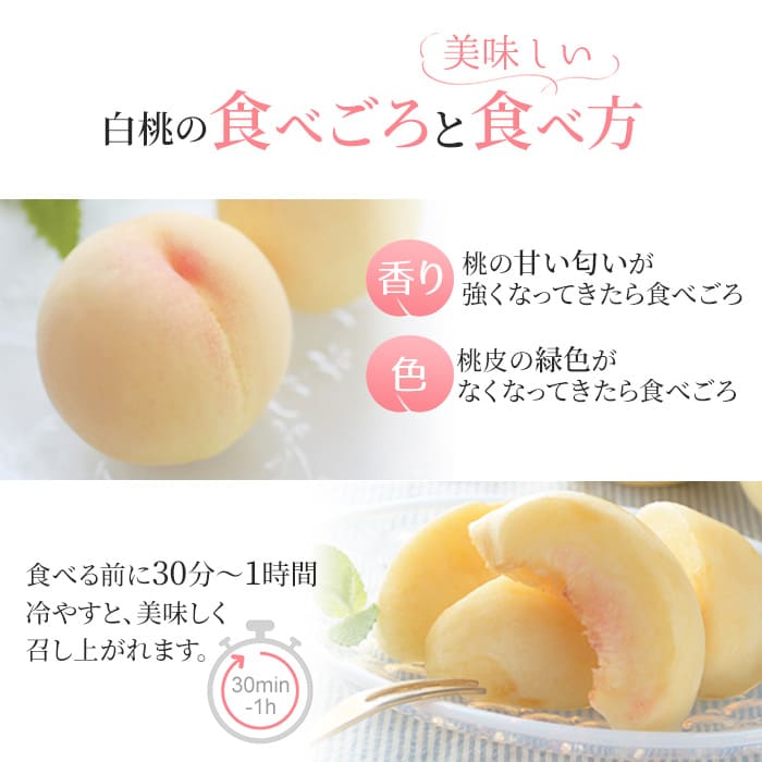 桃 2026年 先行予約 岡山 白桃 キング・エース 約4kg 8～15玉