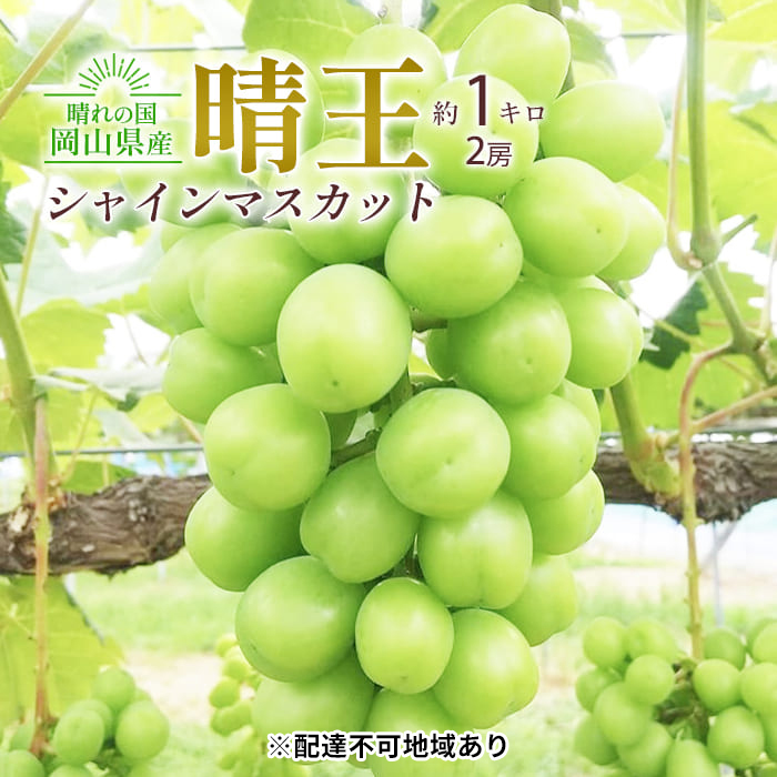 【岡山県玉野市】ぶどう 2025年 先行予約 シャイン マスカット 晴王 2房入り 合計約1kg 大粒 種無し ブドウ 葡萄 岡山県産 国産 フルーツ 果物 ギフト 橋田商店