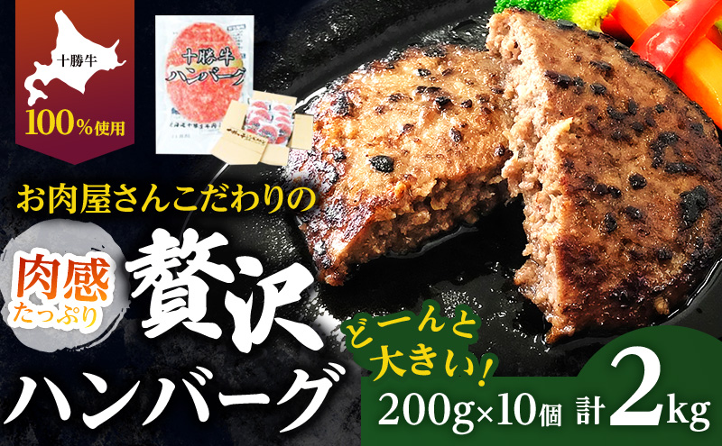 ykCʒzkC \ 育˃no[O 200g×10y Zbg 100% Y  no[O y  Ⓚ 100% 傫 Y kC \  ӂ邳Ɣ[  z