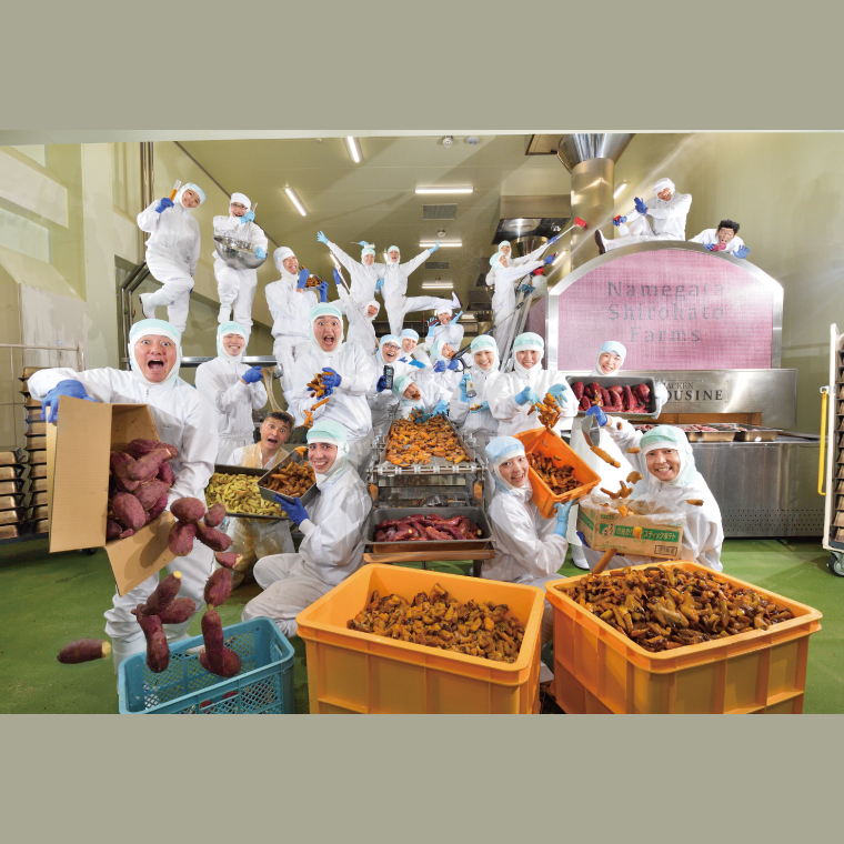 【2025年12月中旬より順次発送】らぽっぽファーム【工場直送】美腸大学いも 2kg｜さつまいも 大学芋 芋 サツマイモ だいがくいも スイーツ お菓子 冷凍 美腸大学芋 人気 送料無料 茨城県 行方市 らぽっぽファーム(CQ-25-1)