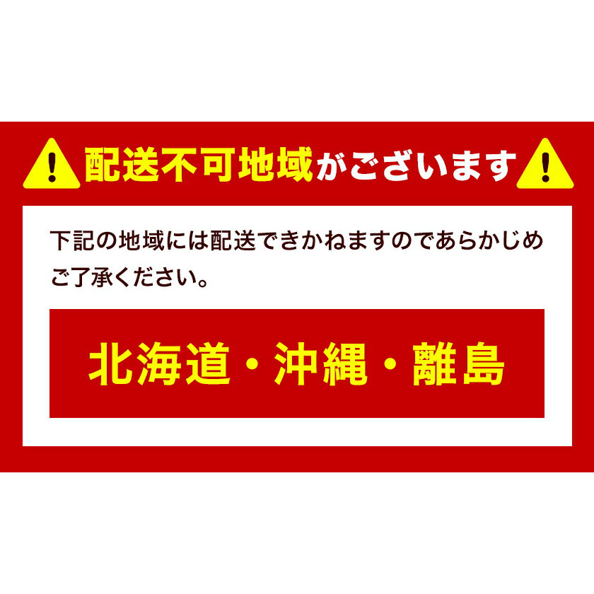 岡山県浅口市のふるさと納税 【2026年先行予約】シャインマスカット 晴王 岡山県産 定期便 2ヶ月 9月・10月発送《2026年9月中旬-10月中旬頃出荷(土日祝除く)》1房 750g 晴レ乃青果　(岡山中央卸売市場店(富士紙工 有限会社)) 岡山県 浅口市 【配送不可地域あり】