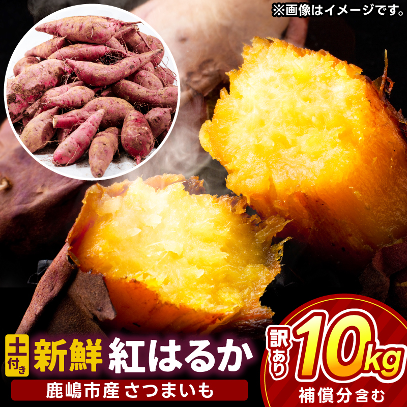 【先行予約】【2025年10月以降発送】【訳あり】 紅はるか さつまいも 計 約10kg (8kg+約25%補償分) 新鮮 土付き【サツマイモ 紅はるか 茨城県 鹿嶋市 10000円以下】（KAM-24）