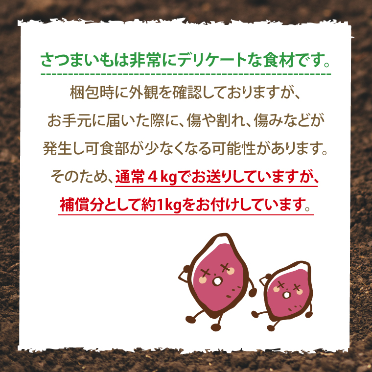 【先行予約】鹿畑ポテト小屋の生さつまいも 紅はるか 計 約5kg（４kg+約25％補償分） 【鹿嶋市 減農薬 熟成 貯蔵 サツマイモ 生芋 べにはるか 送料無料 5キロ 10000円以内 1万円以内】 (KBR-10)