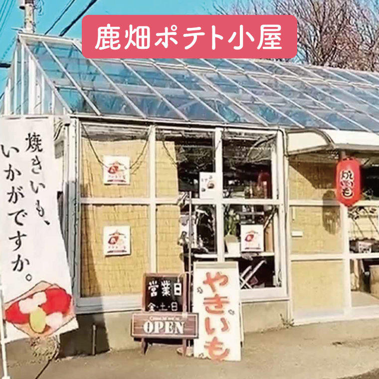 【先行予約】鹿畑ポテト小屋の生さつまいも 紅はるか 計 約10kg（８kg+約25％補償分）【鹿嶋市 減農薬 熟成 貯蔵 サツマイモ 生芋 べにはるか 送料無料 10キロ 15000円以内】 (KBR-11)