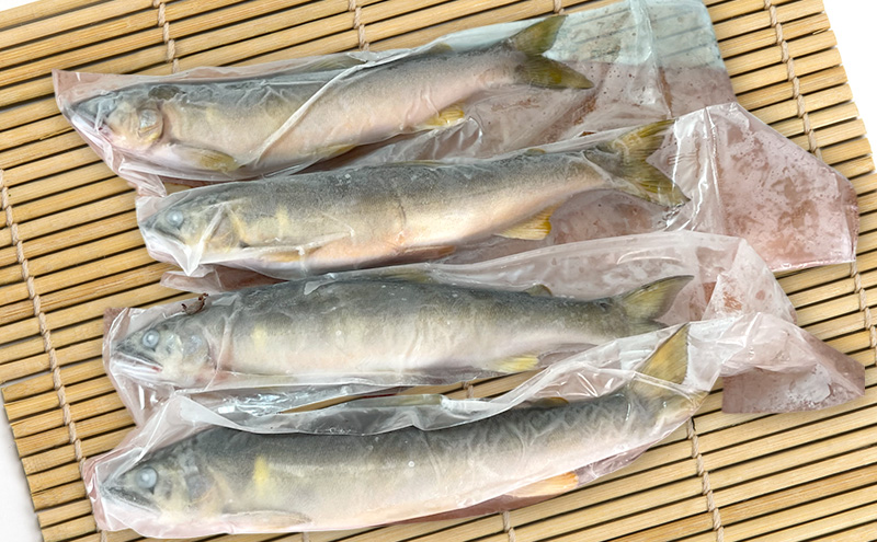 天然鮎 4～6匹 合計500g以上 【9月 発送予定】 冷凍 個包装 鮎 アユ あゆ 魚 川魚 岡山県産 吉井川