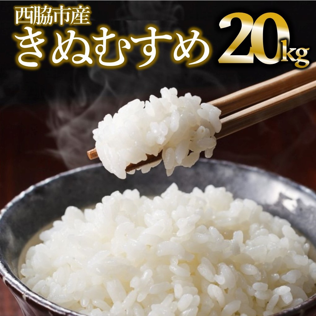 【きぬむすめ】令和６年産 白米20kg（10kg×2袋）(50-32)