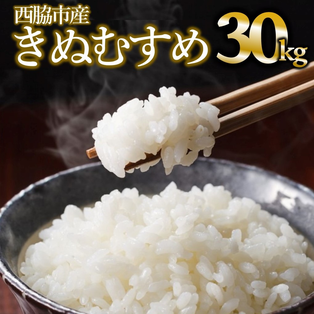 【きぬむすめ】令和６年産 白米30kg（10kg×3袋）(75-8)