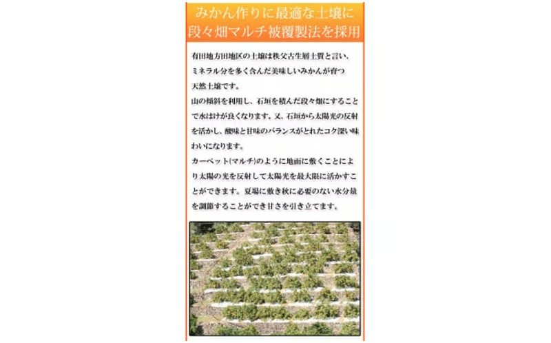 【先行予約】【ご家庭用訳あり】田村みかん ５ｋｇ◇｜ 有田 紀伊 ふるさと納税 ミカン 蜜柑 柑橘 果物 フルーツ 糖度 甘い 濃厚 コク ジューシー 先行予約 みかん 国産 産地直送 人気 美浜町